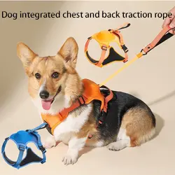 قلاده تنی همراه با بند جمع شونده سگ ها Dog Harness & Retractable Dog Leash All in One, Retractable Hands Free