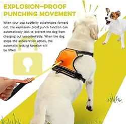 قلاده تنی همراه با بند جمع شونده سگ ها Dog Harness & Retractable Dog Leash All in One, Retractable Hands Free