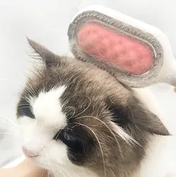 شانه سه کاره بدون مخزن حیوانات خانگی Pet cleaning hair removal comb