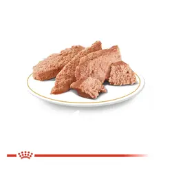پوچ گربه پرشین رویال کنین (Royal Canin Persian Pouch)