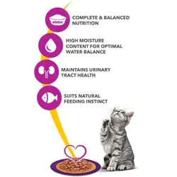 پوچ ویسکاس کیتن با طعم گوشت گاو (whiskas pouch)