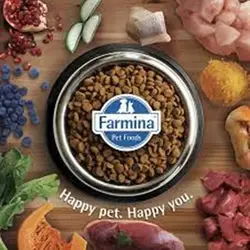 غذای خشک گربه بالغ با غلات N&D تروپیکال با طعم مرغ، انبه، پاپایا، کیوی، اناناس و موز  (N&D adult cat food grain free with chicken, mango, papaya, and tropical fruit recipe)