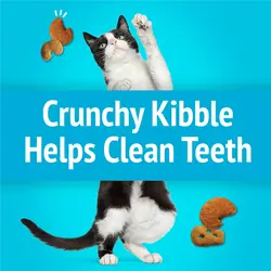 تشویقی گربه پارتی میکس فریسکیز طعم مک اند چیز با لابستر ۶۰ گرم FRISKIES party mix lobster & mac n cheese flavors