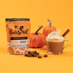 تشویقی سگ پامپکین اسپایس پوچ اند مات ۱۲۰ گرم Pooch&mutt pumpkin spice