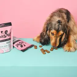 تشویقی سگ آزامش بخش پوچ اند مات ۱۲۰ گرم Pooch&mutt calming