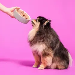 پوچ سگ ریلکس و آرامش بخش پوچ اند مات ۱۵۰ گرم Pooch&mutt calm & relaxed