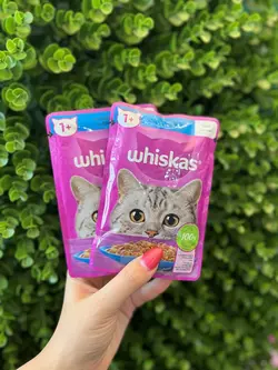 پوچ گربه ویسکاس ماهی در ژله ۸۵ گرم Whiskas balIklI jöleli