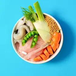 پوچ سگ سلامت دستگاه گوارش پوچ اند مات ۱۵۰ گرم Pooch&mutt health & digestion