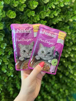 پوچ گربه ویسکاس مدل پیور دلایت مرغ در ژله ۸۵ گرم Whiskas pure delight tavuklu jöleli