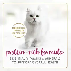 کنسرو گورمت گربه بوقلمون گریل شده با پنیر چدار فنسی فیست ۸۵ گرم Fancy feast Delights with cheddar