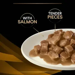 پوچ گربه پورینا پروپلن رنال فانکشن طعم سالمون ۸۵ گرم Pro Plan veternary diets Renal Function advanced care