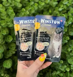 پوچ سوپ گورمت گربه وینستون طعم مرغ ۴۰ گرمی Winston gourmet soup