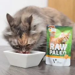 پوچ بچه گربه وت اکسپرت طعم گوشت بوقلمون ۱۰۰ گرم Raw paleo cat pouches