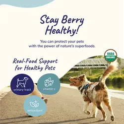 مکمل تقویت کننده سیستم ایمنی گربه و سگ کایند+کایند ۱۱۳.۴ گرم Kind+Kind healthy immunity