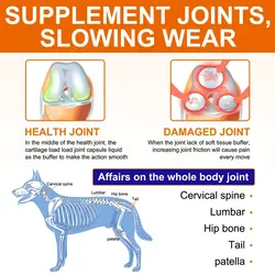 مکمل جویدنی سگ تقویت مفاصل و لگن اویمال ۱۵۰ عددی Oimmal hip + joint