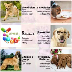 مکمل جویدنی مولتی ویتامین سگ اویمال ۱۵۰ عددی Oimmal multivitamin 15 in 1