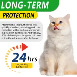 قطره مکمل گربه آنتی بیوتیک اویمال Oimmal natural Antibiotic