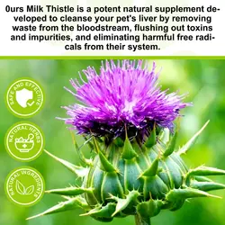 قطره مکمل سگ کبد اویمال Oimmal Milk Thistle