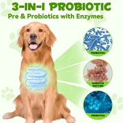 قطره مکمل سگ پروبیوتیک اویمال Oimmal Probiotic 3 in 1