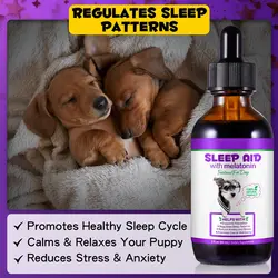 قطره مکمل سگ آرامشبخش و ضد استرس اویمال Oimmal Sleep Aid