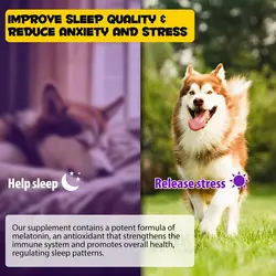 قطره مکمل سگ آرامشبخش و ضد استرس اویمال Oimmal Sleep Aid