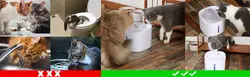 آبخوری اتوماتیک سفید رنگ چراغ دار ۳ لیتری pet water fountain
