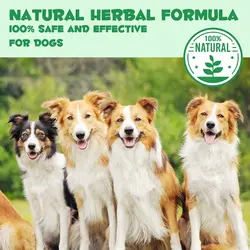 قطره مکمل سگ ضد انگل داخلی اویمال Oimmal  Herbal De-Wormer