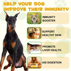 قطره مکمل سگ  ضد آلرژی و تقویت سیستم ایمنی اویمال Oimmal  Allergy & Immune