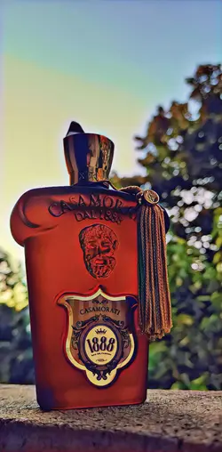 تستر  کازاموراتی 1888 زرجف کازاموراتی زنانه و مردانه