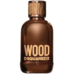 ادکلن مردانه دیسکوارد وود Wood حجم 100 میل