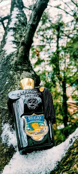 تستر  ادکلن کازاموراتی مشکی زرجوف رجیو مشکی مردانه و زنانه Regio