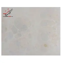 دفتر خوشنویسی گلاسه دارای زمینه ابروباد