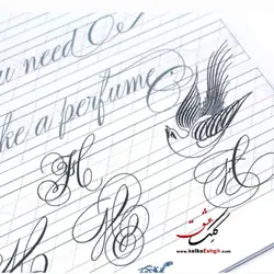 دفتر تمرین و کتاب آموزش خوشنویسی لاتین به سبک اورنامنتال پنمن شیپ ()