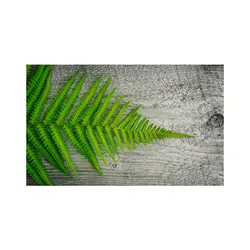 پادری طرح گل مدل برگ سبز