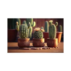 پادری طرح گل مدل گلدان کاکتوس