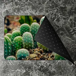 پادری طرح گل مدل کاکتوس های زیبا