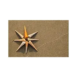 پادری مدرن و کلاسیک مدل صدف ها