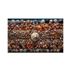 پادری مدرن و کلاسیک مدل صدف ها رنگی