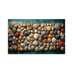 پادری مدرن و کلاسیک مدل صدف های شگفت انگیز