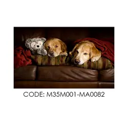 پادری حیوانات مدل سگ ها و عروسک