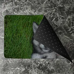 پادری حیوانات مدل سگ هاسکی در چمن زار