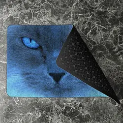 پادری حیوانات مدل تمام رخ آبی گربه
