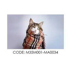 پادری حیوانات مدل گربه پتو پیچ