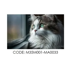 پادری حیوانات مدل نگاه لب پنجره گربه