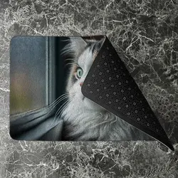 پادری حیوانات مدل نگاه لب پنجره گربه