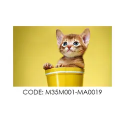 پادری حیوانات مدل گربه با نمک در سطل