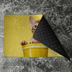 پادری حیوانات مدل گربه با نمک در سطل