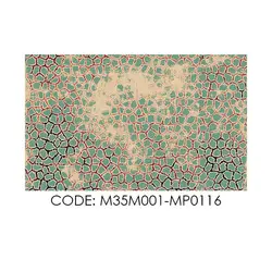 پادری مدرن و کلاسیک مدل طرح سبز قدیمی