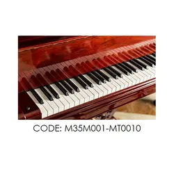 پادری نوجوان مدل آوای پیانو