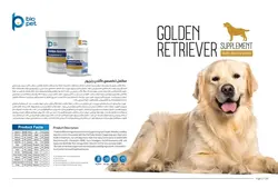 مکمل سگ  گلدن رتریور بایوپت